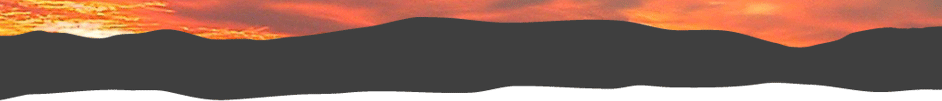 header_bottom